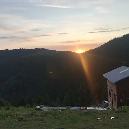 Pokut 게스트하우스 2*