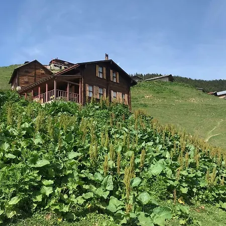 Pokut Guest house 2*