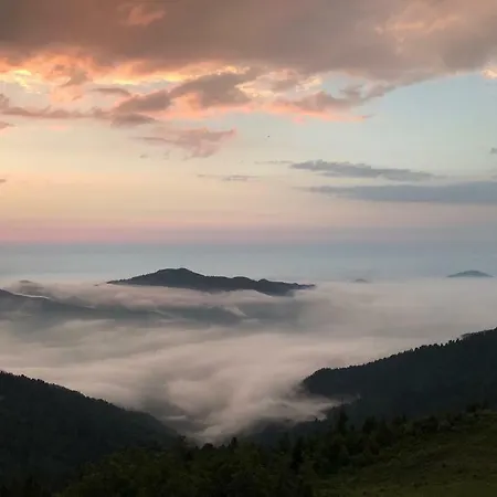 Pokut Ayder Yaylasi