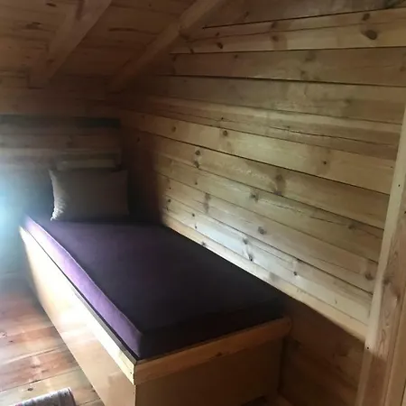 Pokut