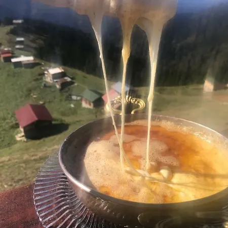 Pokut 2*
