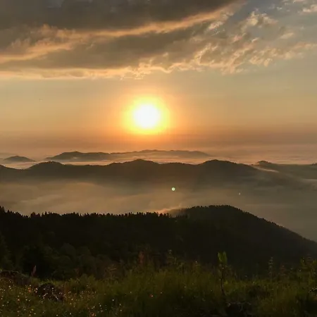 Pokut Ayder Yaylasi
