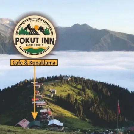 Pokut 2* Ayder Yaylasi